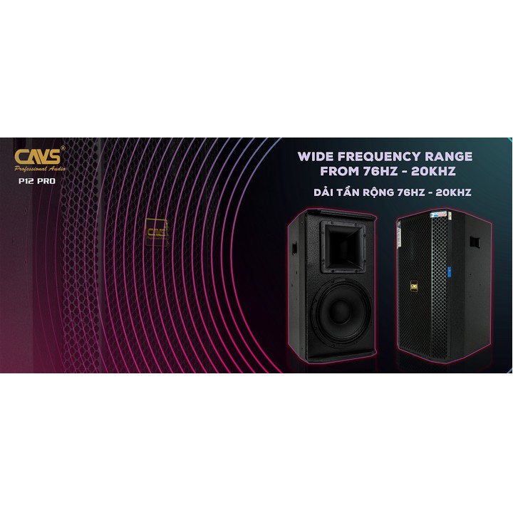 LOA FULL CAVS P12 PRO