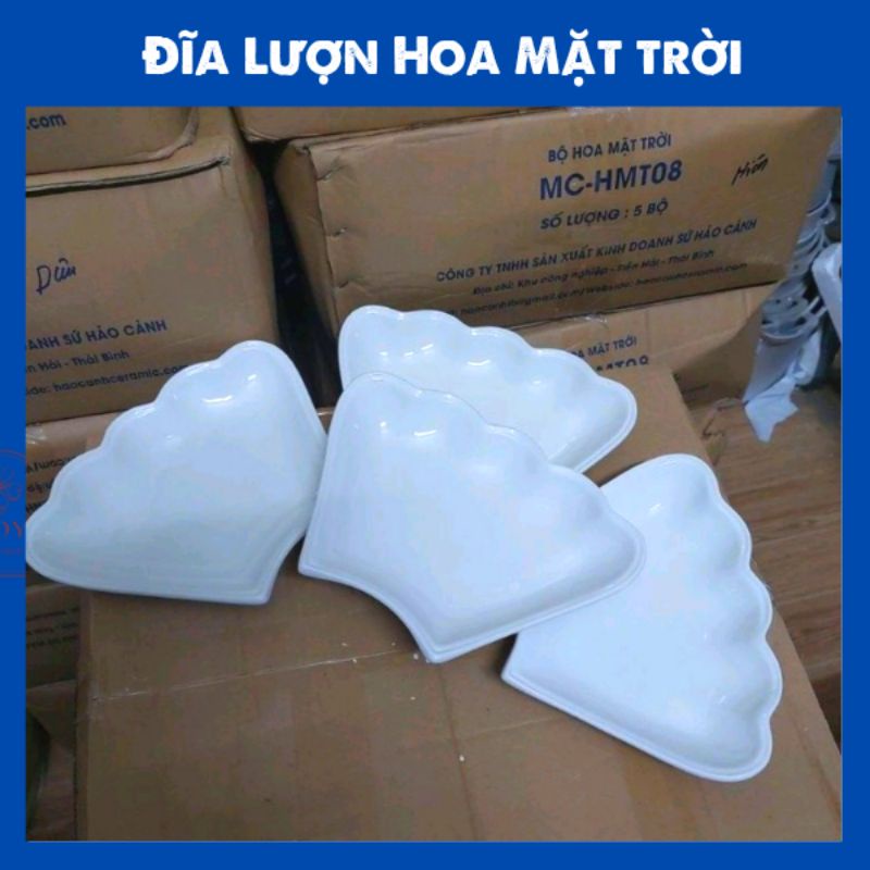 Dĩa Tô hoa mặt trời( mua lẻ)