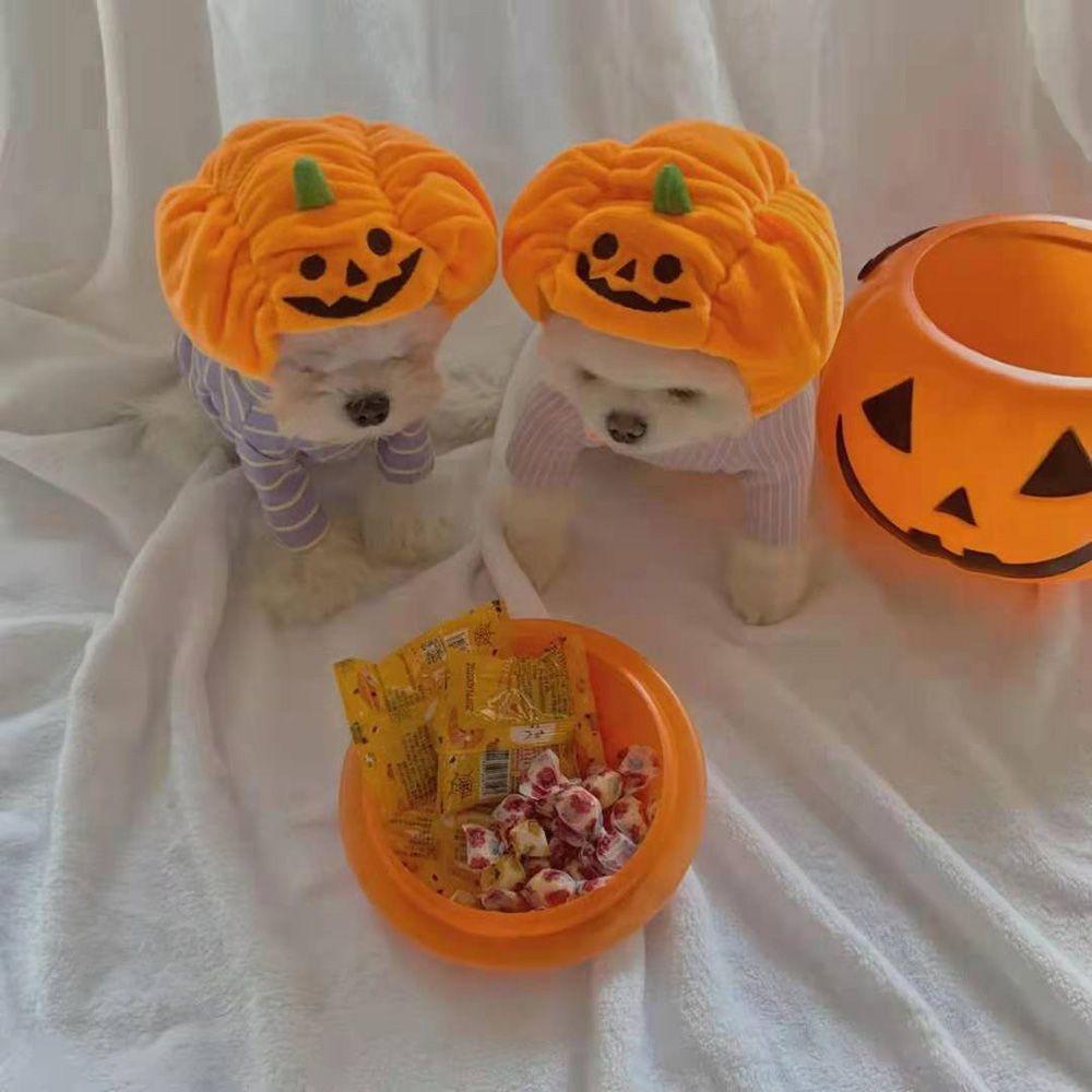 Mũ Đội Hình Quả Bí Ngô Halloween Dễ Thương Dành Cho Cún Cưng