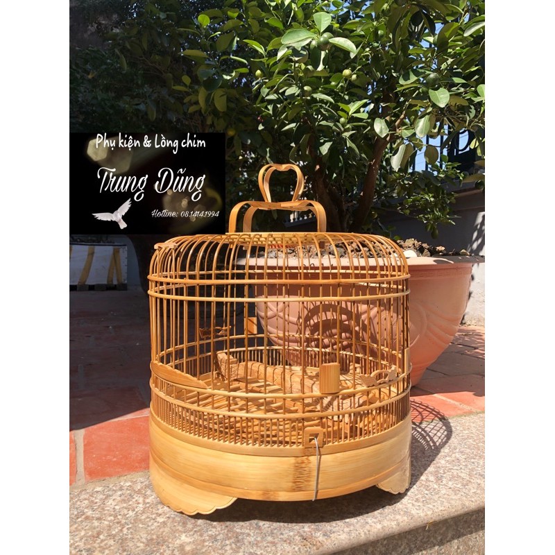 Lồng cu gáy Tre già