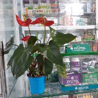 Quầy thuốc Thanh Hiền