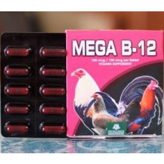 Bổ máu mega b12