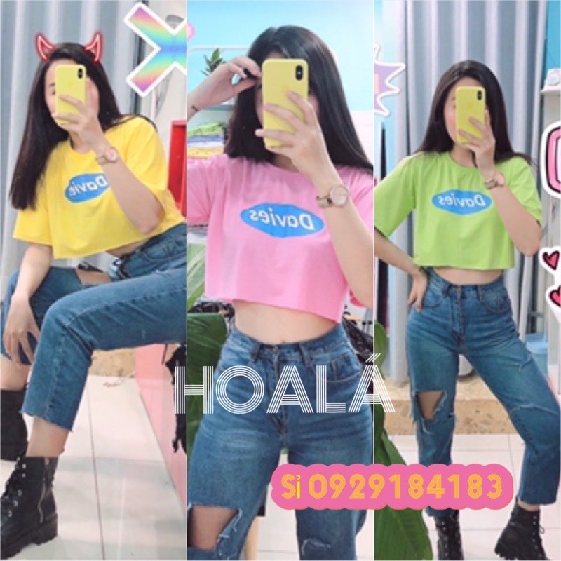 [XẢ KHO] Áo Thun Croptop Davis Hottrend