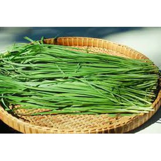 Hạt giống hẹ ta(10G)