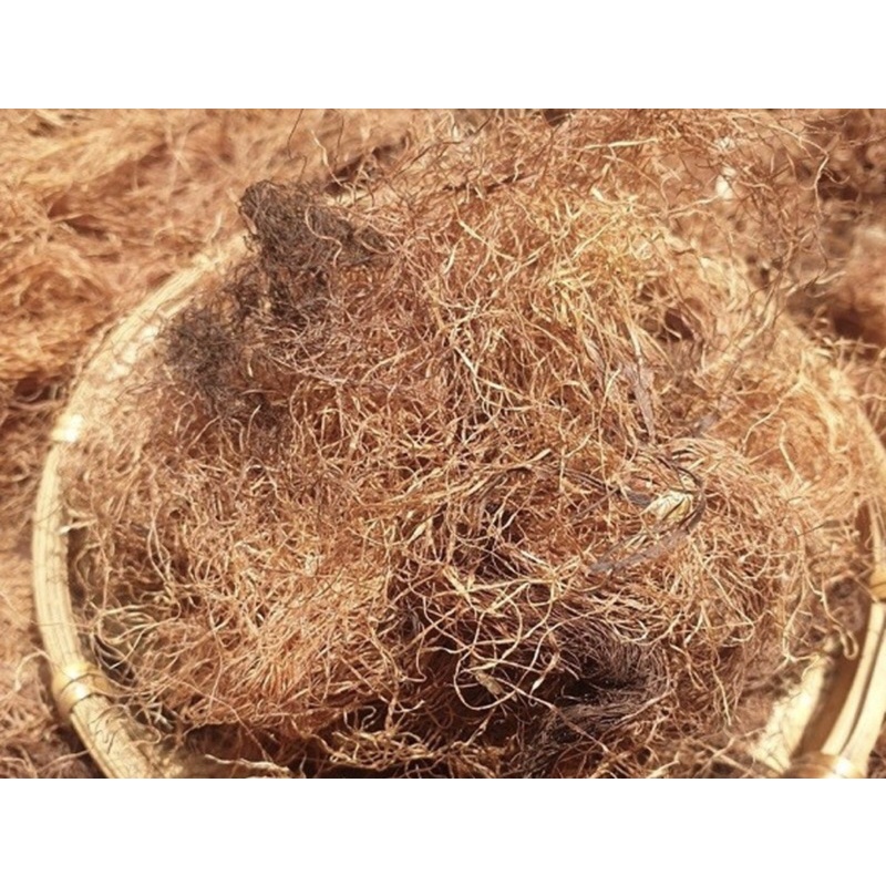 1Kg Râu ngô khô thơm sạch mới loại 1