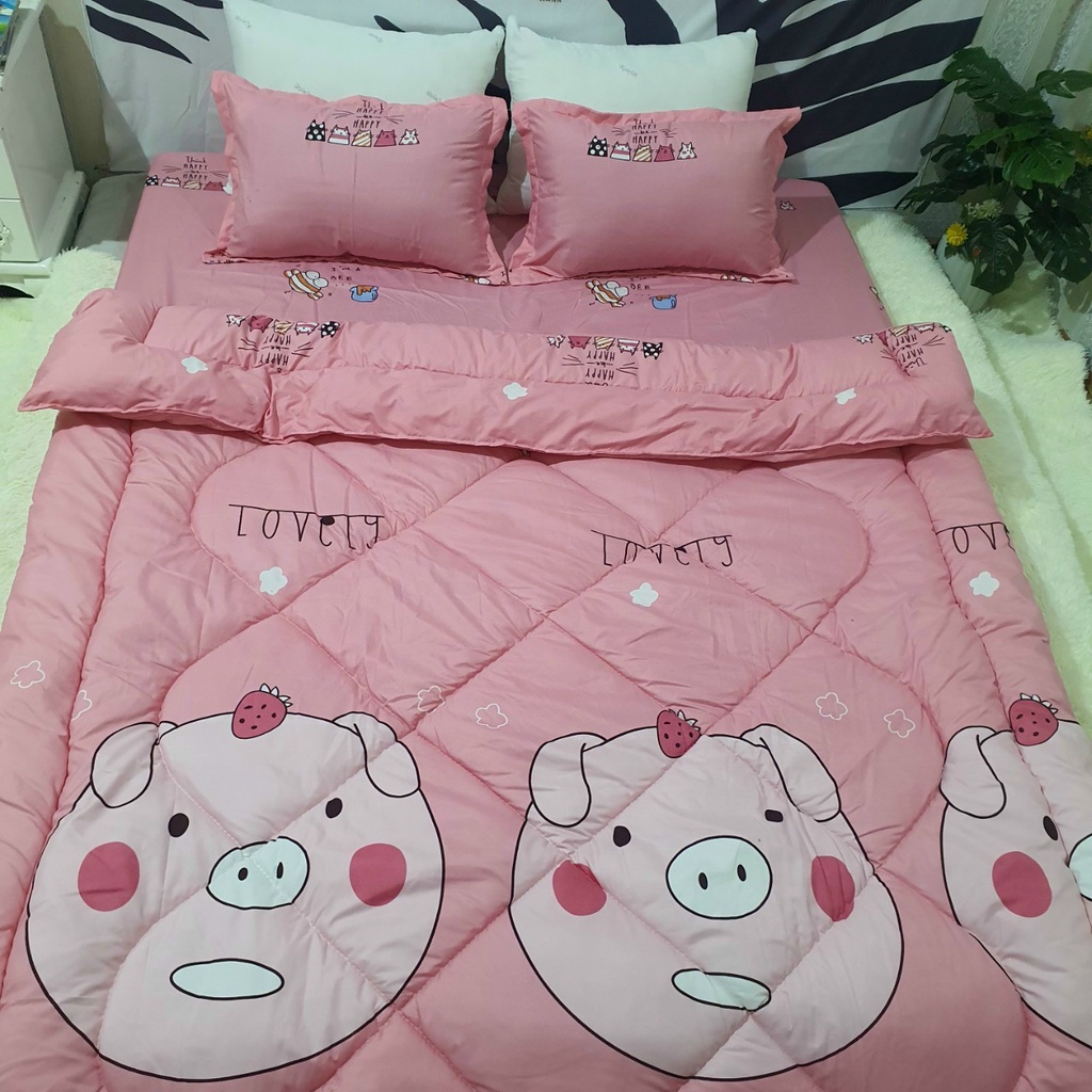 Chăn phao trần bông cotton poly m8x2m ( chát chọn mẫu)