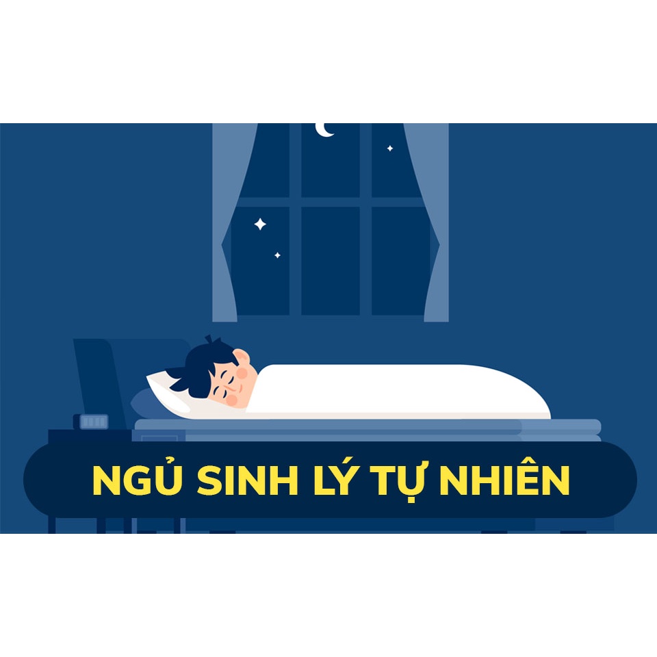 SIX.am - Quà tặng cho giấc ngủ