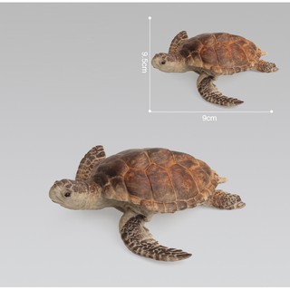 Mô hình rùa nâu lớn