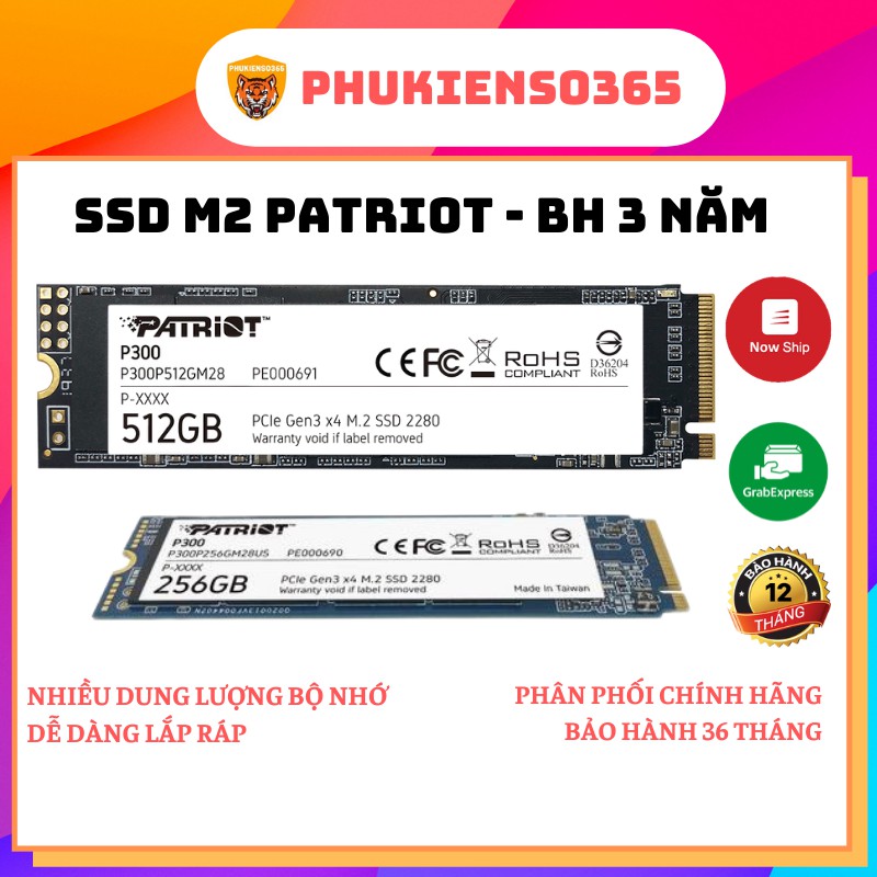 Ổ cứng SSD M2 cho PC, Laptop Patriot P300 - Chính hãng Bảo Hành 36 Tháng
