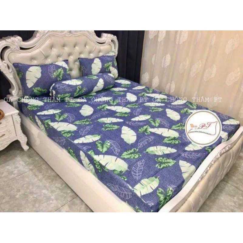 GA CHỐNG THẤM COTTON PT CHÍNH HÃNG