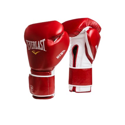 Găng tay đấm bốc Everlast - boxing