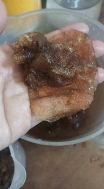 HẠT ƯƠI BAY RỪNG LOẠI NGON