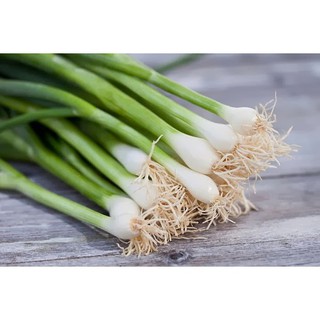 --- Hạt giống hành hoa 10gr/ gói chất, giá rẻ.
