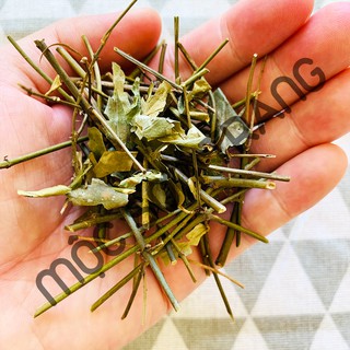 [Túi 500gram] Trà Chè Vằng Sẻ Cao Cấp (Mộc Sơn Trang)