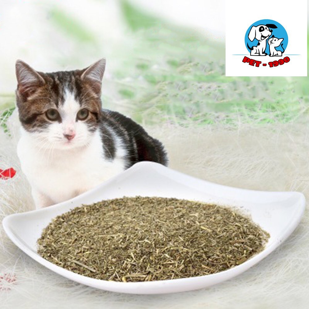 Ống Catnip Cho Mèo - Cỏ Bạc Hà Mèo