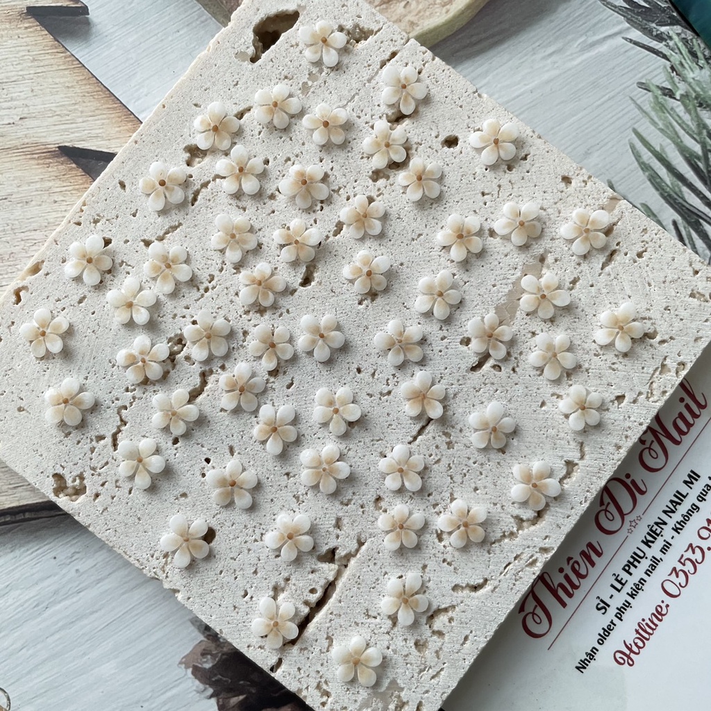 Hoa bột nail gắn móng tay Hoa mai 1 tầng  ( set 2 bông/ 10 bông ) THIÊN DI NAIL