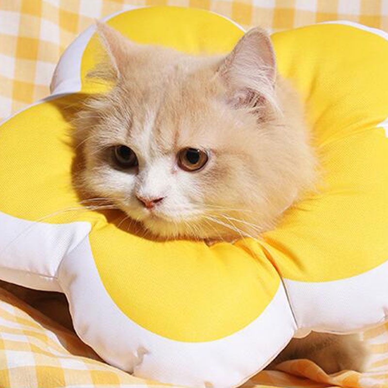 Vòng Đeo Cổ Thú Cưng Chống Nước Có Thể Điều Chỉnh Bảo Vệ Vết Thương