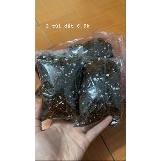 Đất trồng xương rồng, sen đá