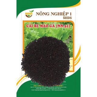 HẠT GIỐNG CẢI BẸ MÀO GÀ