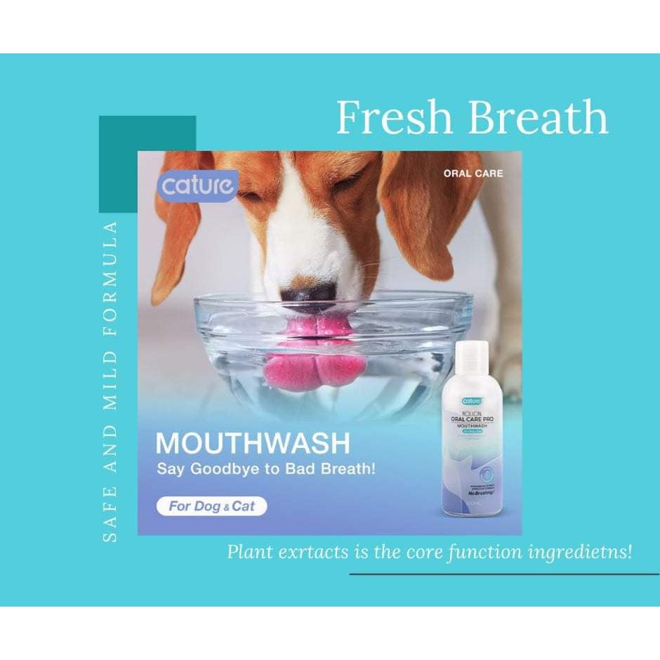 Nước Vệ Sinh Miệng Chó Mèo Giảm Mùi Hôi - Cature Rollon Oral Care Pro MOUTHWASH