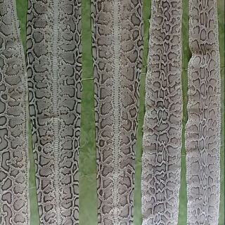 Phôi làm đẹp