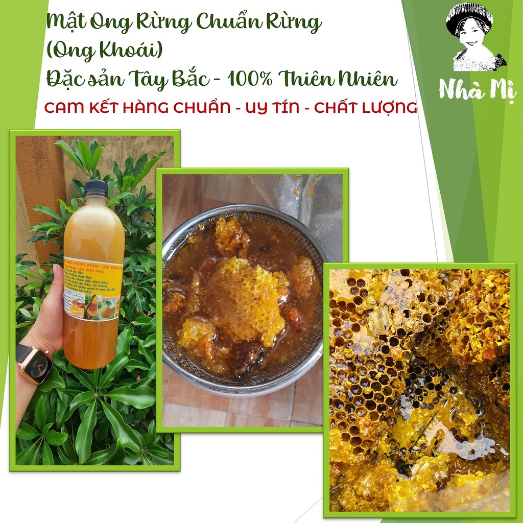 MẬT ONG RỪNG NGUYÊN CHẤT TÂY BẮC (Hàng Chuẩn Xịn 100% - Ong Khoái)