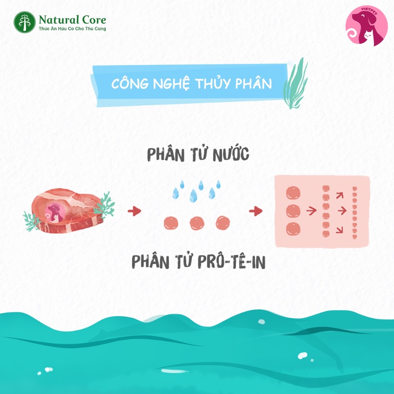 - SIÊU RẺ - Thức ăn cho chó - Hạt Hữu Cơ Natural Core M50 Gà & Cá Hồi Cho Chó Mọi Độ Tuổi