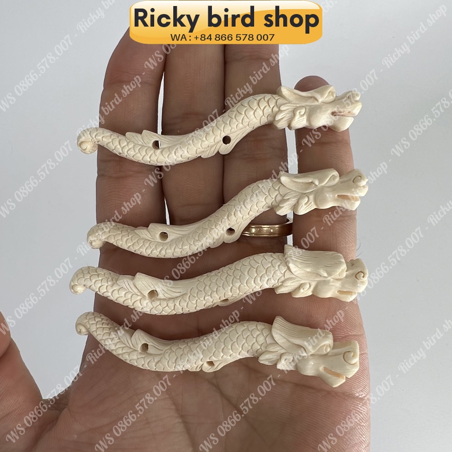 Da-chong legs - Dragon design (R) - Phụ kiện chim Ricky bird shop