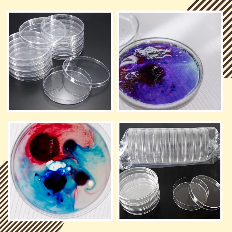 1 cái- Đĩa Petri nhựa dùng để nuôi mầm tinh thể đẹp đường kính 90mm l Tcrystalstore