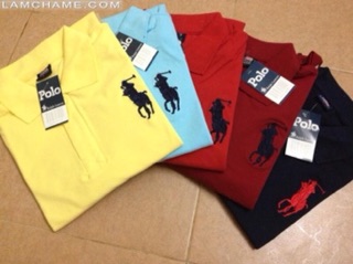 Áo polo bé trai (size nhỡ 6-12y)