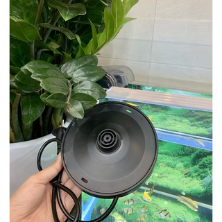 Ấm siêu tốc Cuckoo,  Mumcook ( Giao mẫu ngẫu nhiên )