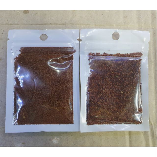 COMBO BỘ 2 HẠT GIỐNG THỦY SINH TRÂN CHÂU LÁ NHỎ LÁ LỚN 10G