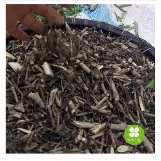 Cây đuôi chuột (1kg khô) - FRV191