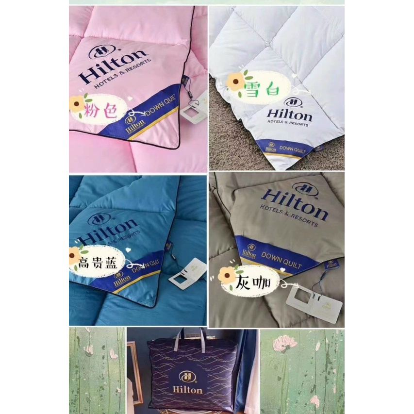 Chăn phao cotton Silk Hilton lông vũ 2mx 2,3m hàng cao cấp GD161