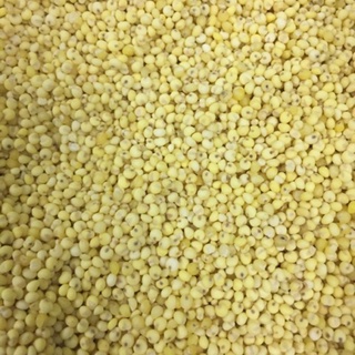 Kê nếp loại 1 dẻo thơm 200g-500g