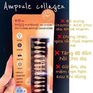 Viên collagen tươi Ammud dạng vỉ 12 viên