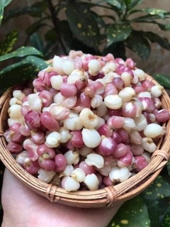 Bắp bung đb