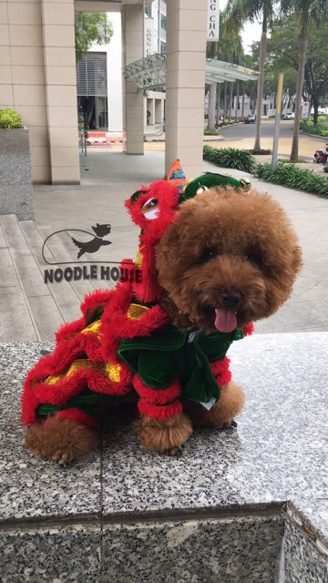 ÁO CON LÂN cho chó mèo, đầu rời