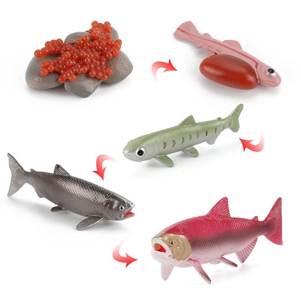 Mô Hình Tượng Cua Biển Sinh Động Như Thật Cho Bé