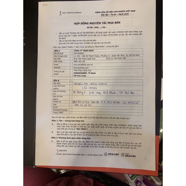 Giày Shondo loang màu xanh dương chính hãng