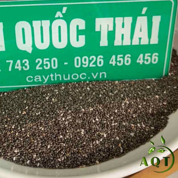 Hạt Chia Úc Absolute Organic 500g [NHẬP KHẨU CHÍNH HÃNG] Date Mới, Hàng Đẹp, Chia Seeds Giảm Cân