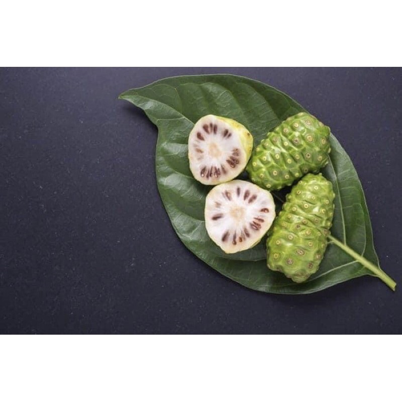 NƯỚC ÉP CỐT TRÁI NHÀU