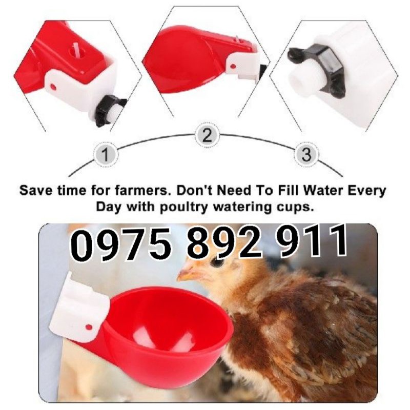 10 cái cốc máng uống tự động cho gà , vịt , chim , thỏ