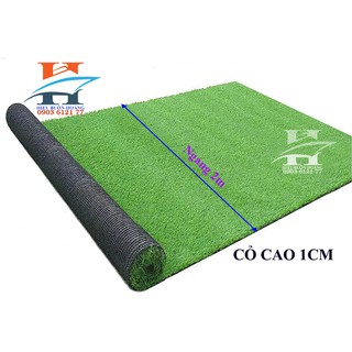 Cỏ nhân tạo khổ ngang 2m, cỏ cao 1cm