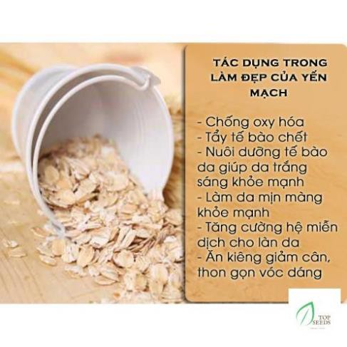 500Gr Đủ Loại Yến Mạch Cán Dẹt Cán Vỡ Trên Thị Trường Hỗ Trợ Giảm Cân Đức, Úc, Mỹ Ăn Kèm Hạt Chia Và Ngũ Cốc Sữa Chua