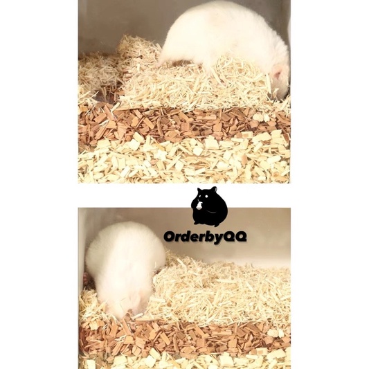 Hộp Gỗ Đào Bới Cho Hamster Đa Dạng Kích Thước