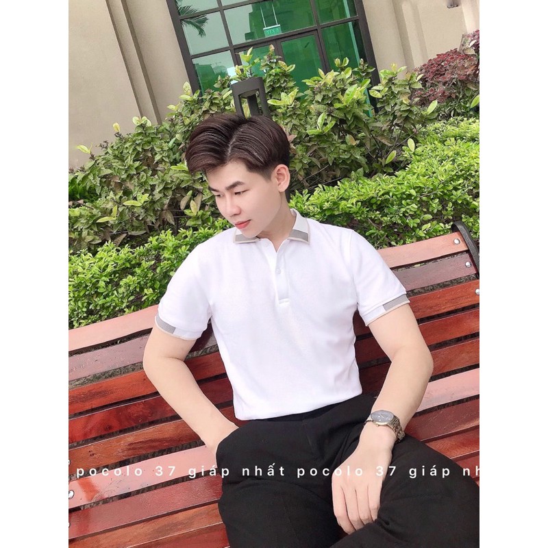 Áo Polo nam cổ bẻ phối vải cá sấu Cotton xuất xịn,chuẩn form,sang trọng-lịch lãm ELEGANt | BigBuy360 - bigbuy360.vn