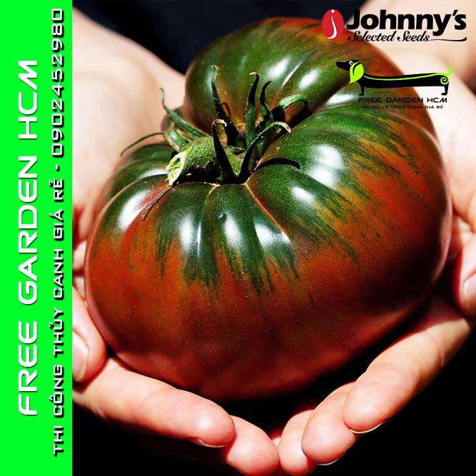 COMBO 30 HẠT CÀ CHUA BLACK KRIM - Johnny’s Seed – Mỹ
