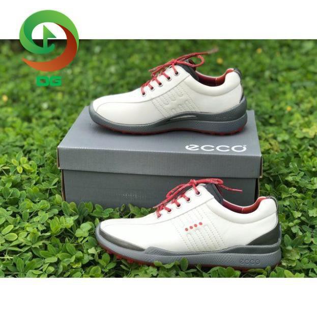 (chính _ hãng ) Giày Golf Ecco dây buộc