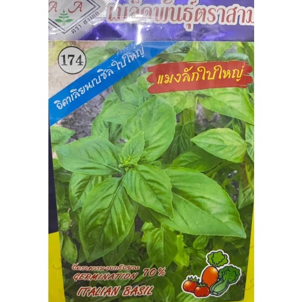 Hạt giống rau thơm Húng quế ý (húng tây ngọt) nhập Thái lan nguyên gói (Italian Basil)